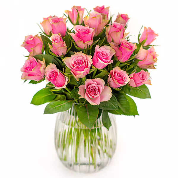 All Things Pink