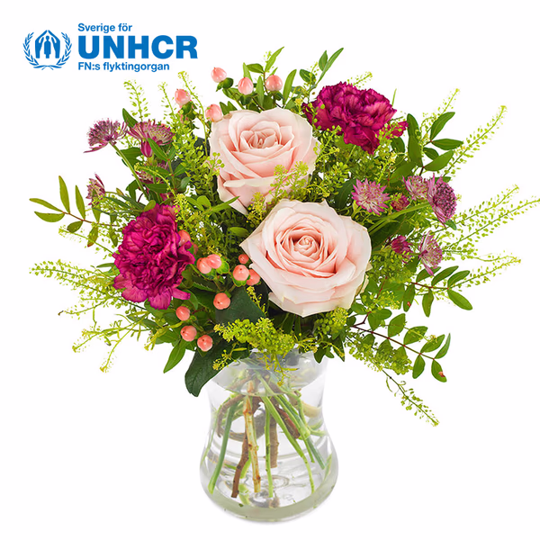 BOU20_21_UNHCR_M 2.jpg