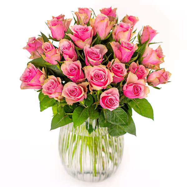 NP25BOX0079L.jpg