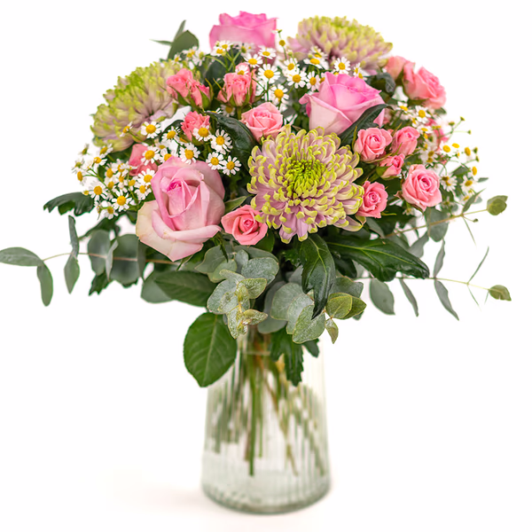 Rosa harmoni