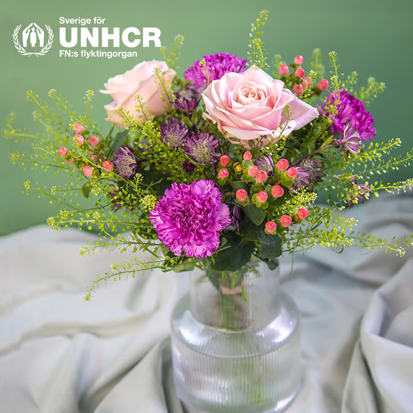 BOU20_21_UNHCR_1 2.jpg