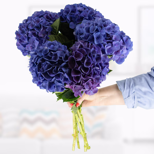 Blue hydrangea bouquet