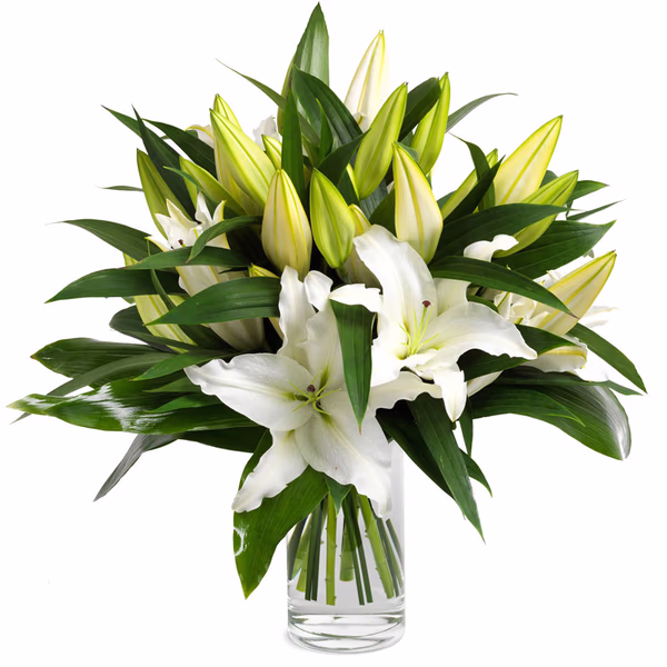 5 White Lilies