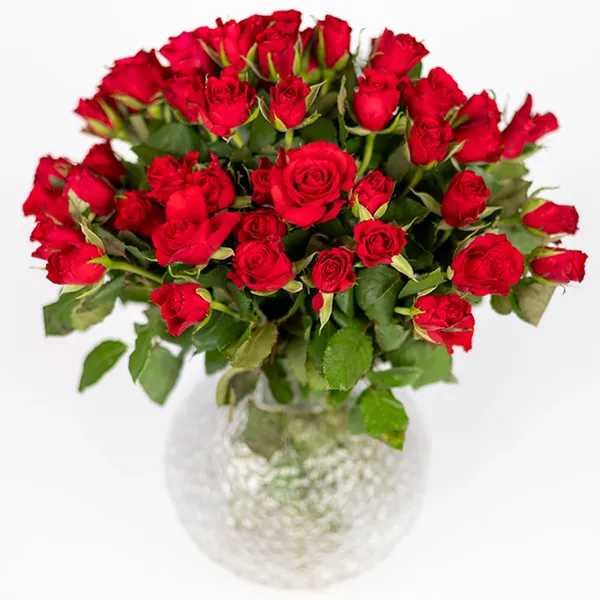 50 red roses