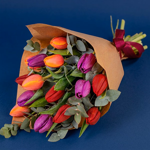 Winter Tulips