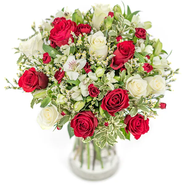 NP24BOX0058L.jpg