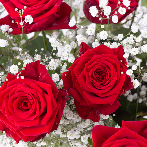 20190072_rote_rosen_mit_schleierkraut_zoom.jpg