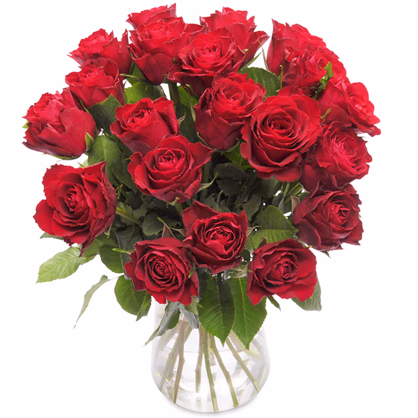20 Red Roses