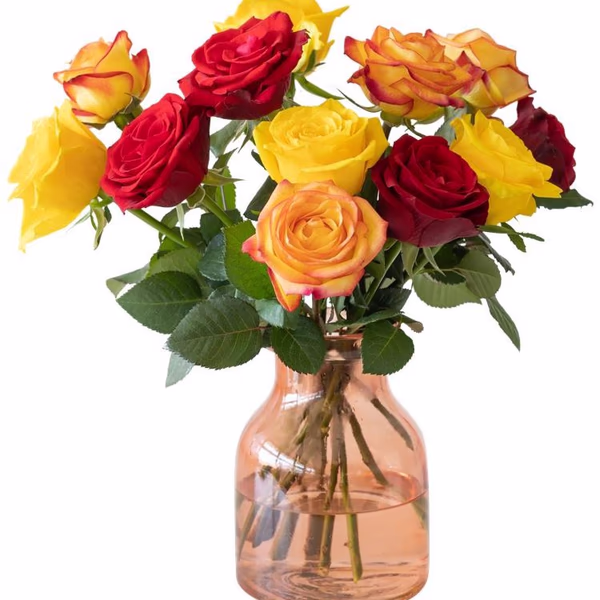 Autumn letterbox roses