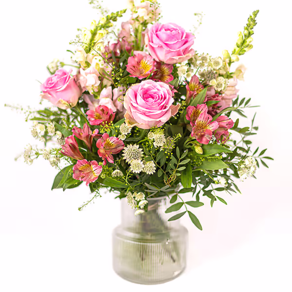 Pink Allrounder