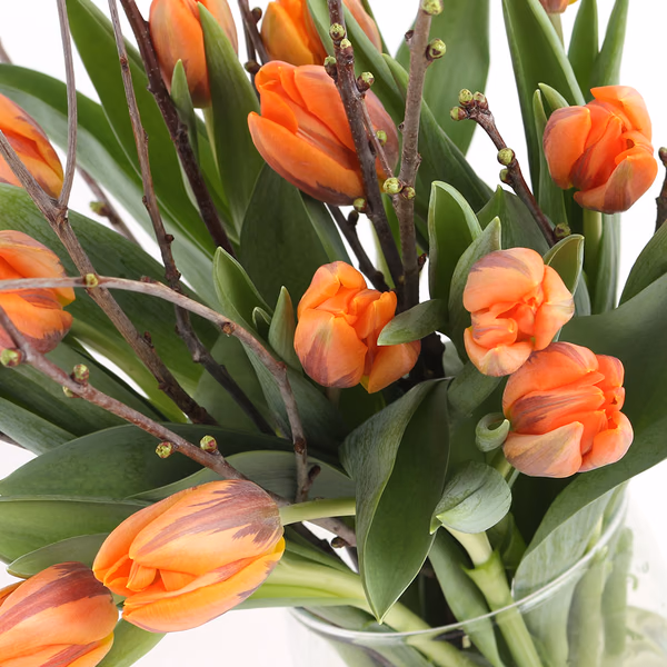 20190013_4260625430613_blumenstrauss_wilde_tulpen_zoom.jpg