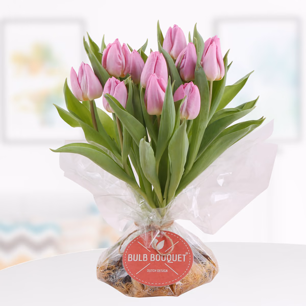 43419-bulb-bouquet-rosa.jpg