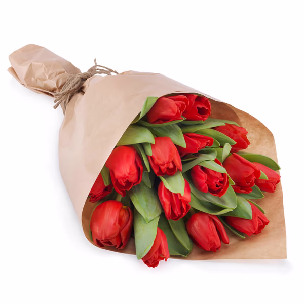 Red Christmas tulips