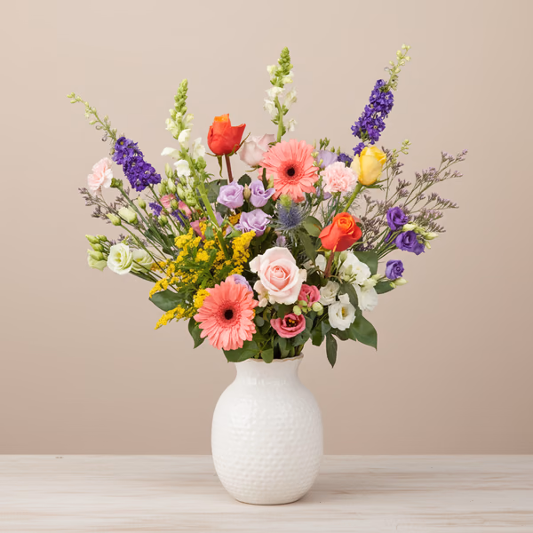 NP26BOX0386 3 (1).png