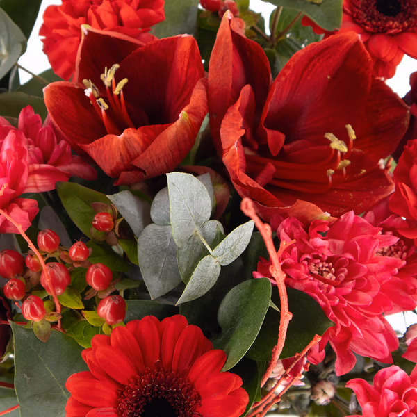 43982-weihnachtsstrauss-amaryllis-eukalyptus-2.jpg