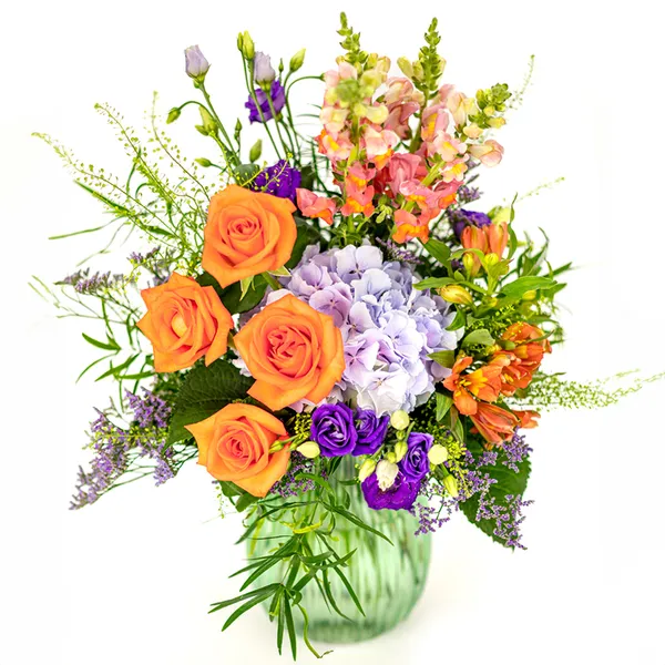 NP24BOX0225L.jpg