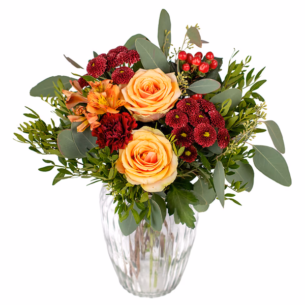 NP26BOX0223S.jpg
