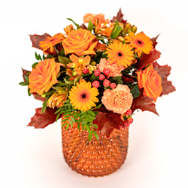 Oransje vibber