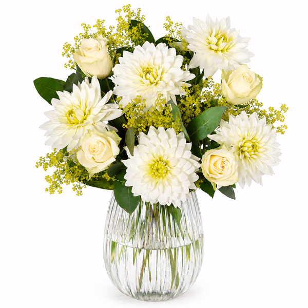 White Dahlias