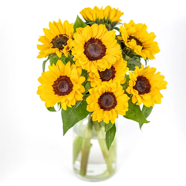 Sunflower Bouquet