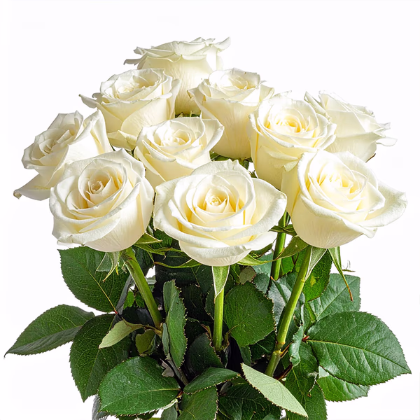 White roses