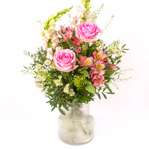 NP24BOX0270S-resized.jpg