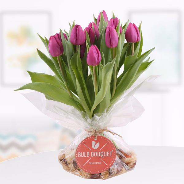 43420-bulb-bouquet-lila.jpg