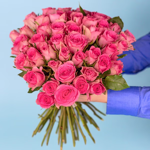 50 Róż Różowych