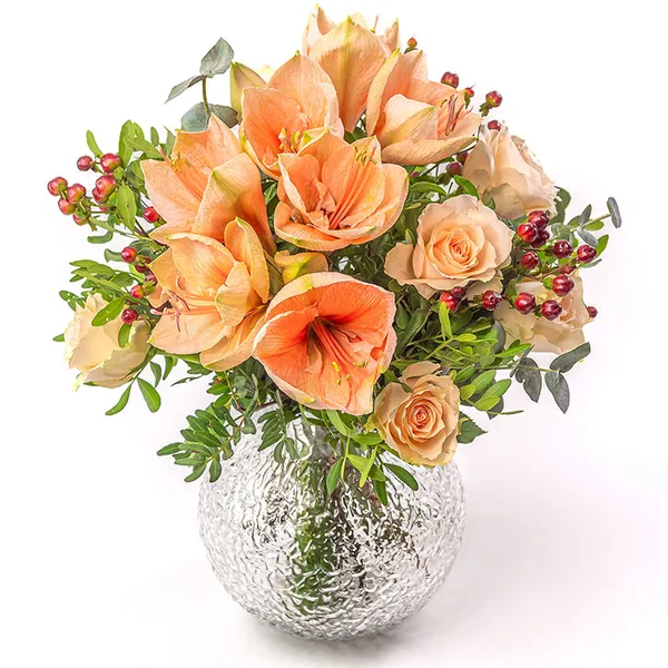 Amaryllis and rose