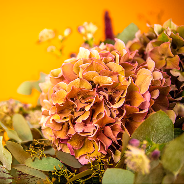 Large bouquet of pink hydrangeas and red amaranthus with greenery