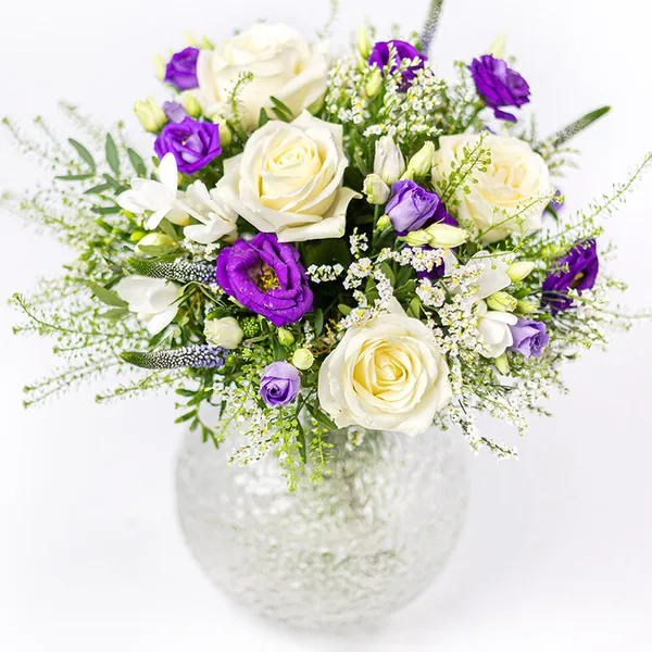 NP24BOX0166L.jpg