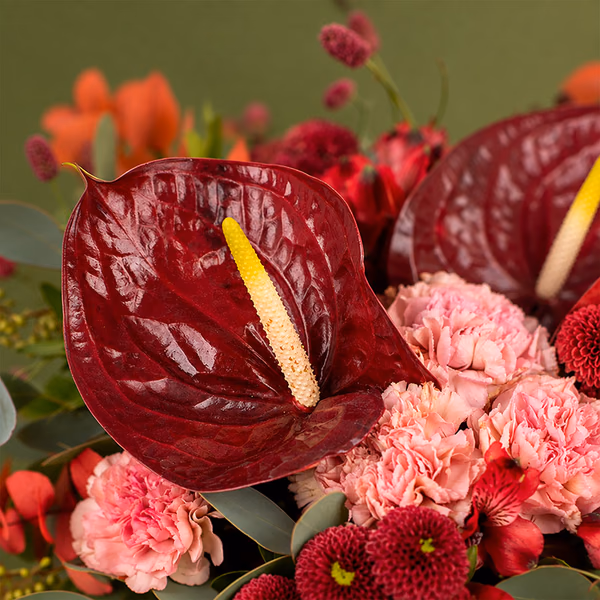 NP26FLO0221_2.jpg