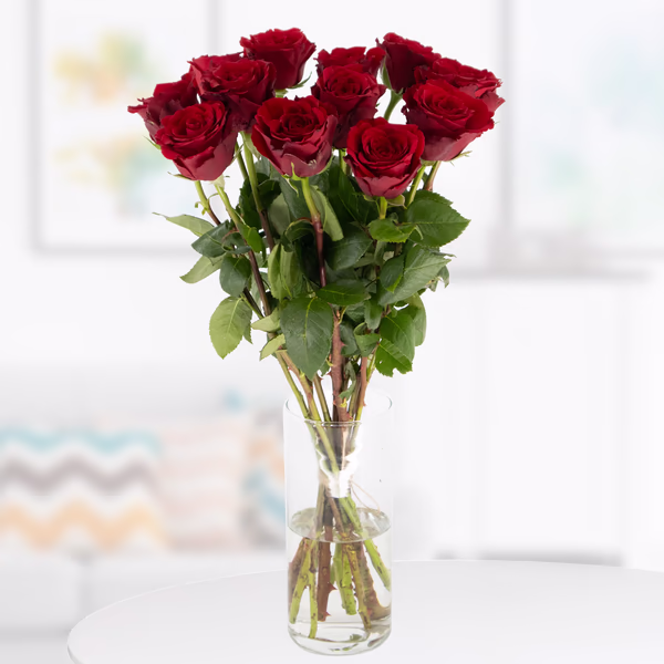 12 Red Premium Roses (50cm)