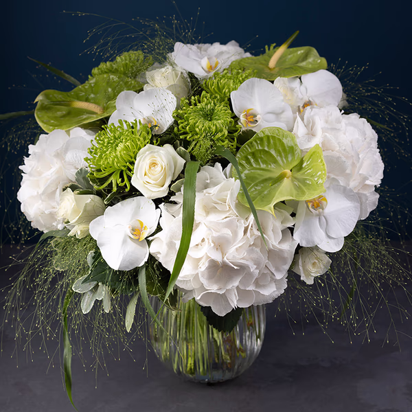 NP26FLO0149S.jpg