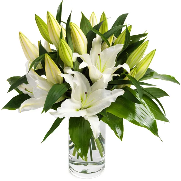 Wonderfully white lilies
