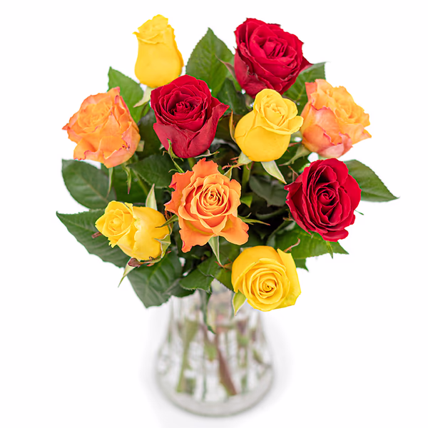 Mixed Roses