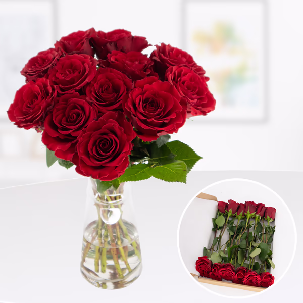 Rosenbox 12 Frische Rosen Rot