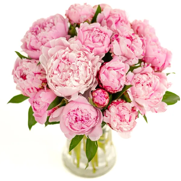 Dreamy Peonies