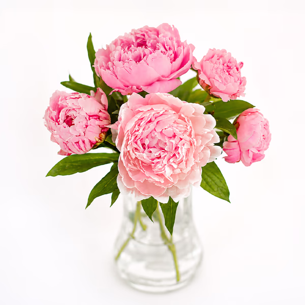 NP26FLO0164S.jpg