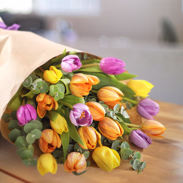 Colourful tulips