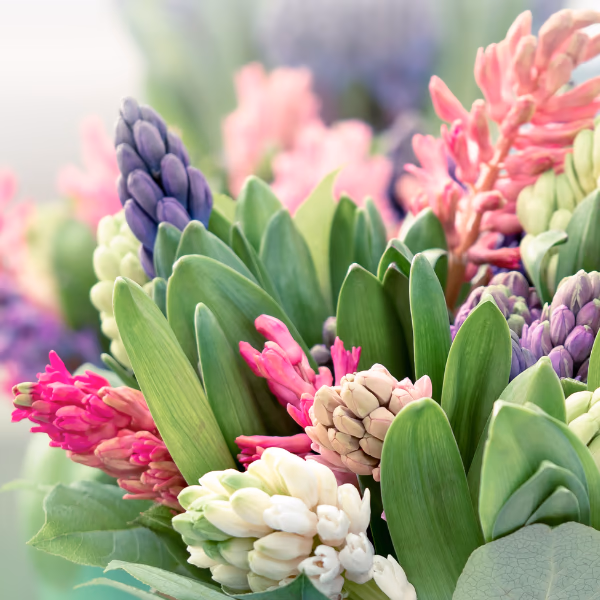 Hyazinthen Blumenstrauß
