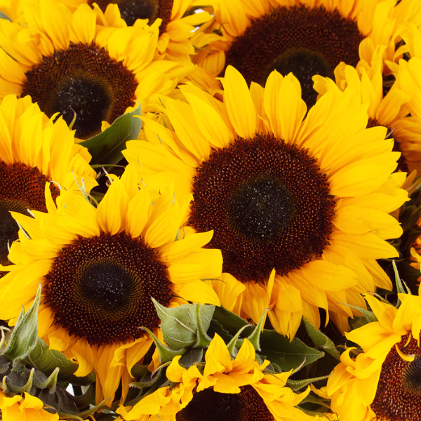 Yellow Flower Bouquets