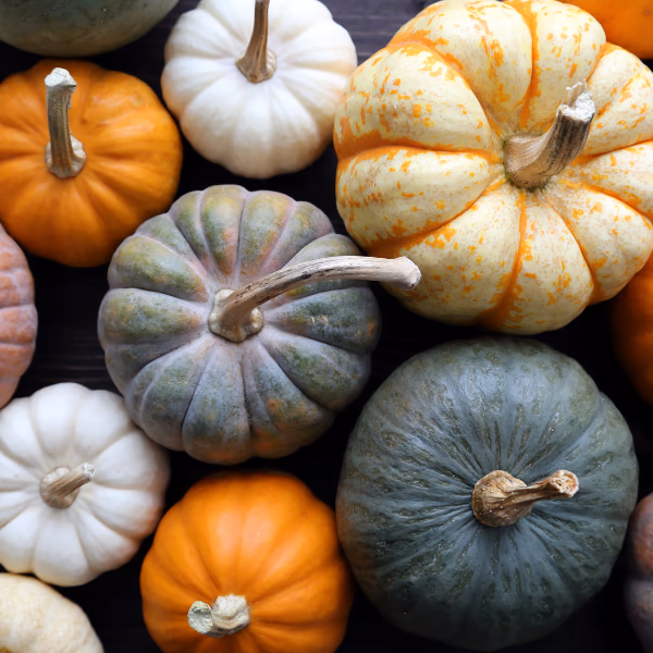 Herbst