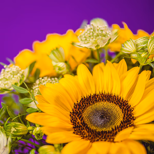 yellow flowers