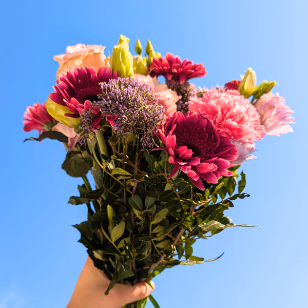 Frühlings blumen
