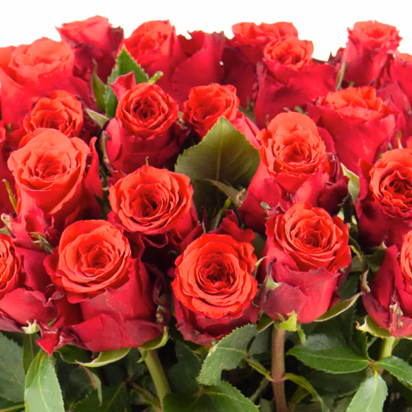 Rote Blumensträuße