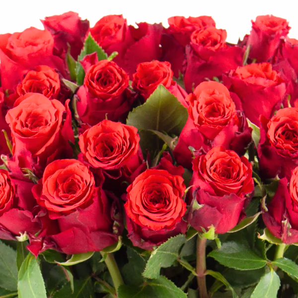 Red Flower Bouquets