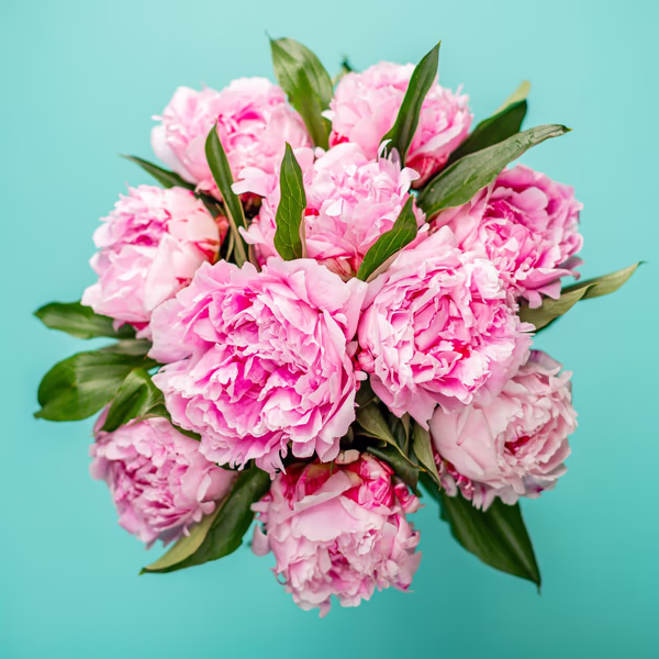 Peonies