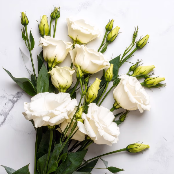 Lisianthus Blumenstrauß
