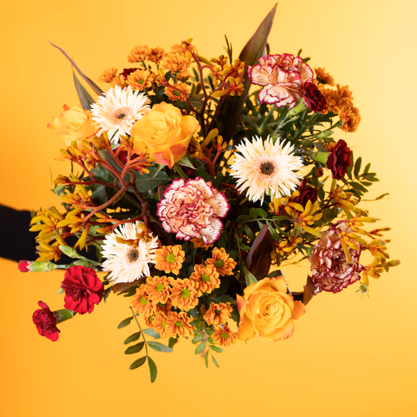 Fall Flowers